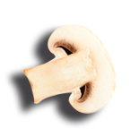 Eh Voilà! Express RIO Shopping