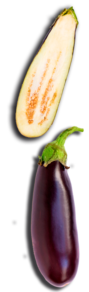 Eh Voilà! Express RIO Shopping