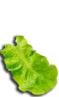 Eh Voilà! Express RIO Shopping